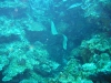 Belize 107